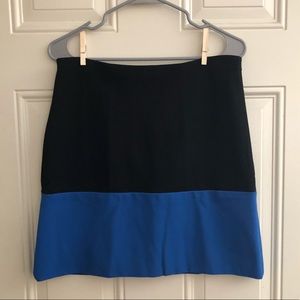 Ann Taylor Skirt